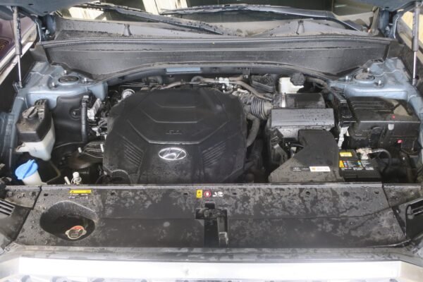 2020 Hyundai Palisade Engine Assembly